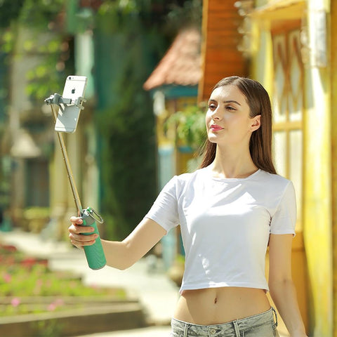 2 in 1 Portable With Stick Bluetooth Speaker